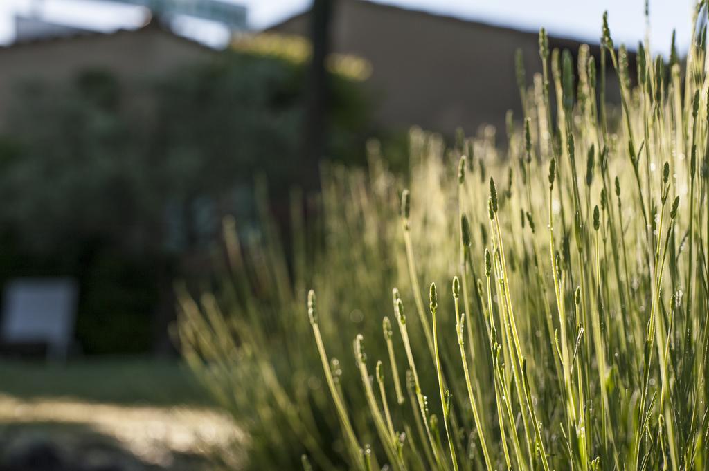 Le Grand Jardin Lafare Exterior photo