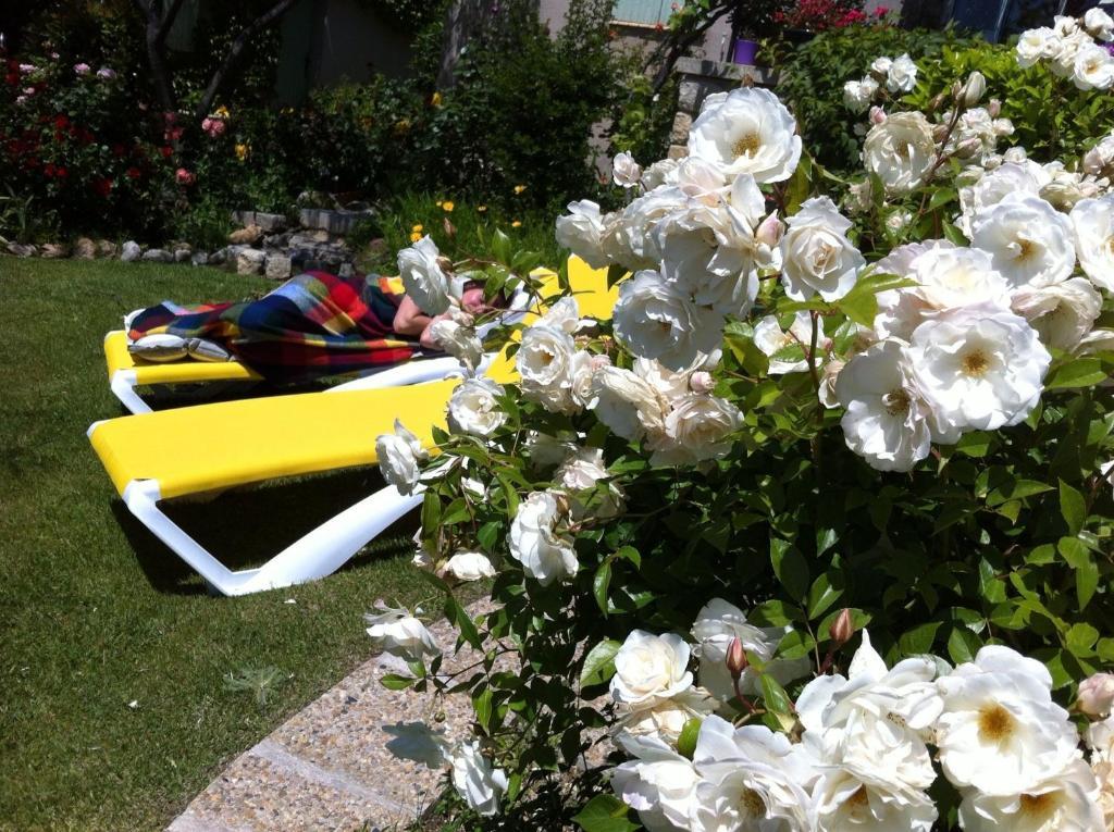 Le Grand Jardin Lafare Exterior photo